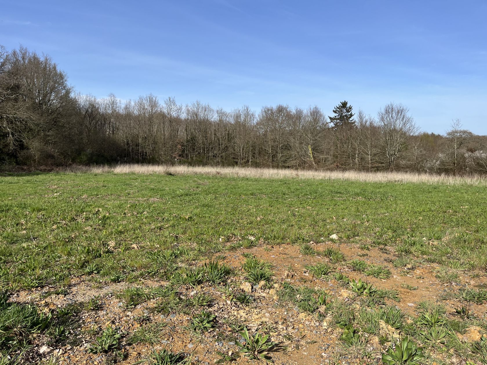 Terrain à bâtir de 965 m² à ORVAULT (44)