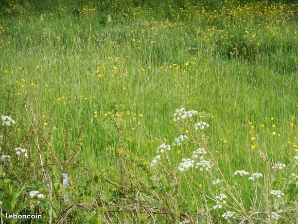 Terrain à bâtir de 497 m² à CORCOUE-SUR-LOGNE (44)