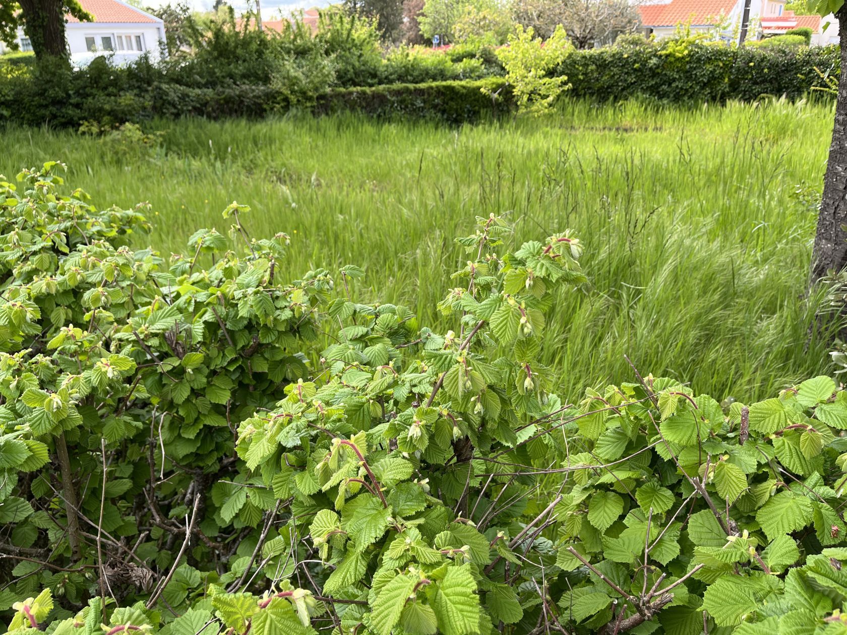 Terrain à bâtir de 285 m² à REZE (44)